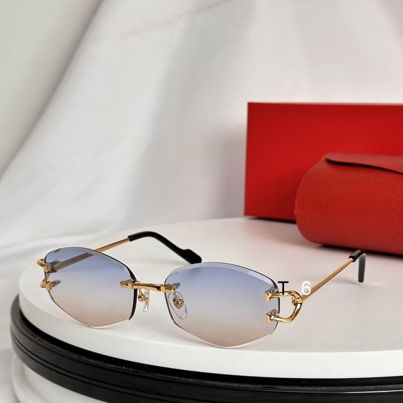 Cartier Sunglasses 497